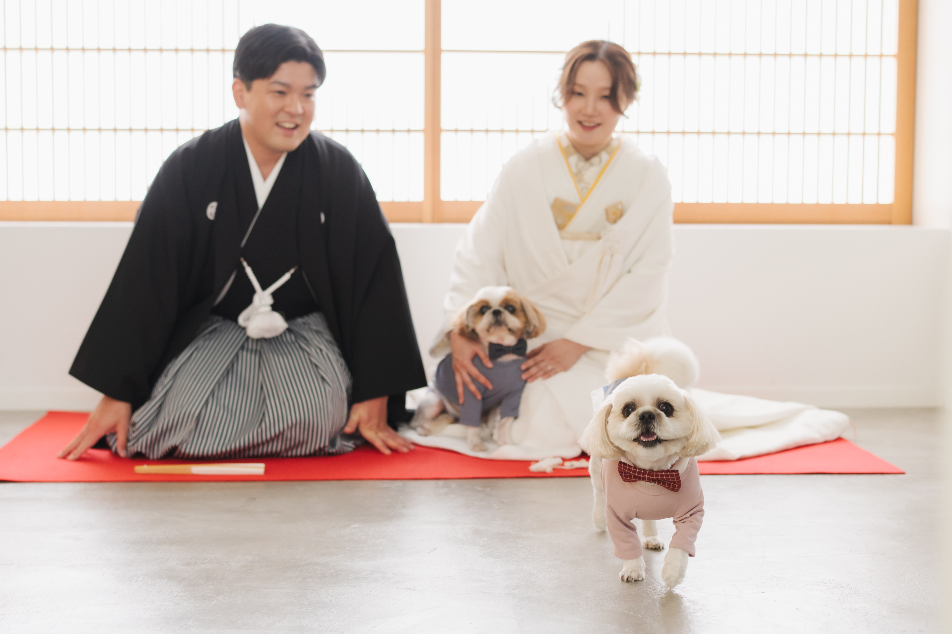 マタニティ×和装×洋装×ペット×家族＝最高のフォトウエディング♡